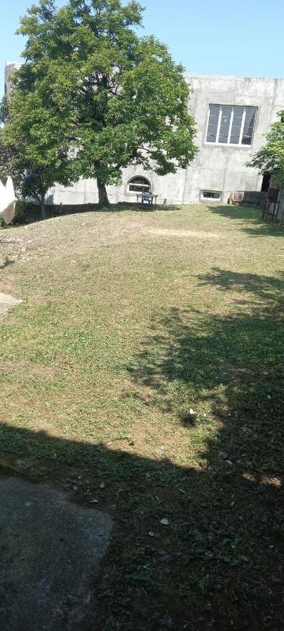 Гостевой Дом В Гагре Gagra Exterior photo